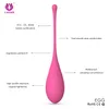 Eggs/Bullets 6pcs/set Smart Kegel Ball Vibrator Vaginal Dumbbells Kegel Ben Wa Ball Vaginal Tight Exercise Ball Sex Products for Women 230413