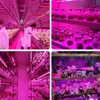 Grow Lights 5V USB Led Pflanzen wachsen Licht Vollspektrum Phyto Lampe 1m 2m 3m Streifen für Samen Blumen Gewächshaus Zelt Hydrokultur Pflanzen Beleuchtung P230413