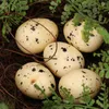 Decoratieve bloemen Tuba ornament Bird Nesten Crafts Rattan Fake Eggs Pasen Hideaway
