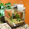 Decorations Mini Desktop Fish Tank Set with cover Water Filter 2.5W Submersible Pump ecological aquarium transparent fish tank Home Decor 231113