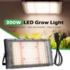 Grow Lights 300W LED Grow Light Phytolamp för växter Ljus AC165-265V Full Spectrum Phyto Lamp Growing Systems for Greenhouse Flower Grow P230413