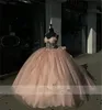 New Arrival Pinkprincess Ball Gown Quinceanera Dresses 2024 With Bow Butterfly Appliques Beads Birthday Party For 15Th Girls 322