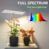 屋内デスク植物のライトライトを栽培する6500Kフルスペクトルグースネックタイミング植物LEDランプシード多肉植物