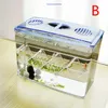 Aquariums Out-tank Acrylic Fish Breeding Isolation Box Aquarium Breeder Fish Tank Hatching Incubator Fish House Home for Shrimp Clownfish 231113