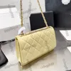 Womens 19 Trendy woc Wallet Bags With Letter Gold Metal Hardware Matelasse Chain Crossbody Shoulder Handbags Card Holder Multi Pochette Purse 6 Colors 20X13CM