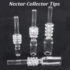 100pcs Quartz 네일 팁 NC 키트 10mm 14mm 18mm 수컷 쿼츠 네일 팁 유리 봉 DAB 밀짚 오일 장비 대 티타늄 팁 오일 버너 파이프 용 도구