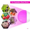 Grow Lights 9W LED Grow Glühbirne 12leds Full Spectrum Phytolamps Für den Zimmerpflanzenanbau Grow Light Hydrokulturpflanzen LED-Wachstumslampen P230413