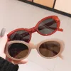 Lunettes de soleil Fashion Cat Eye Femmes Bright Small Frame Shades Retro Lunettes Sport Jelly Candy