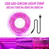 Grow Lights 5V USB Led Pflanzen wachsen Licht Vollspektrum Phyto Lampe 1m 2m 3m Streifen für Samen Blumen Gewächshaus Zelt Hydrokultur Pflanzen Beleuchtung P230413