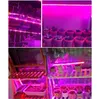 Grow Lights DC 5V LED 성장 광선 전체 스펙트럼 USB Grow Grow Light Strip 2835 SMD Phytolamps Greenhouse Hydroponic Growning P230413을위한 식물 성장 조명