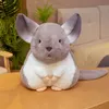 Plush Dolls Hamster Pillow Cute Plushy Chinchillas Plush Doll Soft Toy Stuffed Animals Mascot for Kids Christmas Toys Cute Pillows Plush Toy 230412