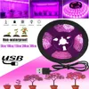 Grow Lights 0.5-3m LED Full Spectrum Phyto Lamp USB 5V Grow Light for Hydroponics Succulent Flower Seeds Tent Grow box Greenhouse Grow Lamp P230413