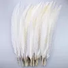 Other Event Party Supplies Wholesale Natural Silver Pheasant Feathers Long White Chicken Feather for Crafts Decor Clothes Carnival Wedding Decoration 231113