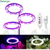 Grow Işıkları Led melek yüzüğü Bitki Işığı DC5V USB Fitolamp Bitkiler için Led Kapalı Fideler için Tam Spektrum Lambası Ev Çiçek Succulet P230413
