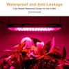 Grow Lights Phytolamp för växter 200W LED GROW Light Full Spectrum Phyto Lamp 220V växt LED för blommor Tält Growbox Hydroponics Inomhus P230413