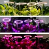 グローライト導入ライトフルスペクトル5V USB成長ライトストリップ2835 LED Phyto Lamps for Plants Greenhouse Hydroponic Growin