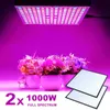 Grow Lights 2pcs 1000W Spectre complet LED intérieur LEMPUR DE CLUS POUR COMMUST CLUSION LEIL TENTE FITOLampy Phyto UV IR Rouge Bleu 225 Plantes de fleurs LED P230413