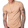 95% cotone 5% elastan Abbigliamento fitness Abbigliamento Slim Fit Longline Camisetas Tee-Shirt Stringer Muscle Fitted Athletic Gym Camicie da uomo