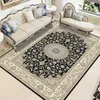 Carpets Modern Chinese Living Room Persian Carpet Simple Bedroom Decoration Area Rug Large Porch Door Mat Absorbent Non-slip Bath Mat W0413