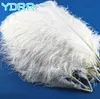 Other Event Party Supplies beautiful feathers good quality ostrich wedding dress decoration plumas for bridal bouquet decor 231113