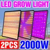 Büyüme Işıkları 2 PCS LED Grow Light Full Spectrum Lamba Fito Ampul Büyüme Bitki Büyüme Lambası 1000W 2000W Hidroponik Işık Çiçek Tohumları Çadır 85-265V P230413