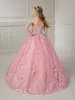 Rose Pink Girl Pageant Dress 2024 Floral Applique Glitter Tulle Little Kid Birthday Formal Cocktail Party Gown Infant Toddler Teens Tiny Junior Miss Mini Quince