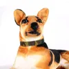 Collari per cani 5 misure collare verde militare tela regolabile animali domestici tattici per cani di taglia piccola e media