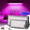植物の栽培ライトフィトランプ200W LED Groging Full Spectrum Phyto Lamp 220V植物LED FOR FROWERS TENT GrowBox Hydroponics Indoor P230413
