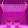 Grow Lights 81/169 LEDs 2000W 3000W Intérieur LED Grow Light Plant Growing Lamp Rouge Bleu Spectre complet pour plante hydroponique d'intérieur P230413
