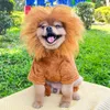 Cat Costumes Autumn And Winter Four-legged Flannel Warm Dog Pet Supplies Teddy Bear Method Lion Turned Clothes Halloween Costume