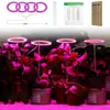 Grow Lights LED Angel Ring Grow Light DC 5V USB Phytolamp för växter LED Full Spectrum Lamp för inomhusväxtplantor Hemblommor Succulet P230413