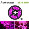 Grow Lights DC 5V USB LED Grow Light Full Spectrum 1-5m Plant Light Grow LED Strip Phyto Lamp for Vegetable Flower Seedling Grow Tent Box P230413