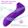 Vibrateurs Puissant Clit Sucker Vibrateur Langue Vibrant Mamelon Sucer Fellation Clitoris Stimulateur Etotic Sex Toys pour Femmes Masturbateur 231113