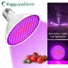 Grow Lights Kaguyahime LED Growth Light E27 85-265V/220V屋内苗のためのFull Spectrum Flower Fitolarm Hydroponic Bulb P230413