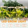 Grow Lights 3 Farben Pflanzen wachsen Lampen Angel Ring Growing Lamps DC5V USB Phytolamp LED Vollspektrum-Wachstumslampe für Zimmerpflanze P230413