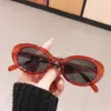 Lunettes de soleil Fashion Cat Eye Femmes Bright Small Frame Shades Retro Lunettes Sport Jelly Candy