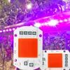 GROW LIGHT LED GROW Light Full Spectrum Cob LED CHIP AC 110V 220V Inget behov Driver Phyto Lamp för inomhusväxten Ljusplantor Grow Lamp P230413