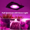 Rosne światła LED LID Light AC220V 240 V Pełna moc Fitoolamp dla roślin Pełne spektrum lampy UV Flowling Sedalling Wysoka jakość Wysokiej jakości światło wzrostowe P230413