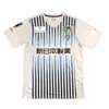 2023 Avispa Fukuoka Soccer Jerseys 23/24 J1 League # 9 LUKIAN YUYA Uniforme Homme # 10 JOGO J.LEAGUE WELLINGTON Maillot de football