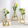 Modern Home Decorations Metal Flower Vases Iron Holde Glass Home Room Dining Table Hydroponic Decorative Bottle Living Room Decor