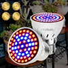 Grow Lights Phyto светодиод B22 Гидропонный рост Light Light E27 Светодиодная лампочка MR16 Полный спектр 220V УФ -лампы E14 Flightment Fitolamp GU10 P230413