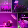 Grow Lights LED Grow Light 60 126 200 260Leds E27 110V 220V Phyto Lamp Full Spectrum LED Grow Light E27 Led Growing Lamps For Plant P230413