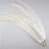 Other Event Party Supplies Wholesale Natural Silver Pheasant Feathers Long White Chicken Feather for Crafts Decor Clothes Carnival Wedding Decoration 231113