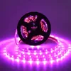 Grow Lights DC 5V USB LED Grow Light Full Spectrum 2m 3m Plant Light Grow LED Strip Phyto Lampe Légume Fleur Semis Grow Tent P230413