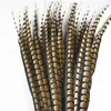 Autres fournitures de fête d'événement 10pcslot naturel Lady Amherst plumes de faisan pour l'artisanat 30120cm1248 "décoration artisanale longue décor bricolage 231113