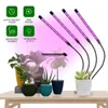 Grow Lights LED Grow Light USB Phyto Lampe Spectre Complet Fitolamp Avec Contrôle Phytolamp Pour Plantes Semis Fleur Maison Tente P230413