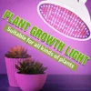 Luzes de cultivo Muunnn LED Grow Light Hidropônico Luz Luz E27 LED LED BULLB