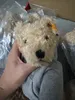 Morbido orsacchiotto da collezione, peluche, animali di peluche, compagno di giochi, bambola rilassante, giocattoli per bambini