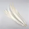 Other Event Party Supplies Wholesale Natural Silver Pheasant Feathers Long White Chicken Feather for Crafts Decor Clothes Carnival Wedding Decoration 231113