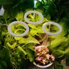 Grow Lights 3 Farben Pflanzen wachsen Lampen Angel Ring Growing Lamps DC5V USB Phytolamp LED Vollspektrum-Wachstumslampe für Zimmerpflanze P230413